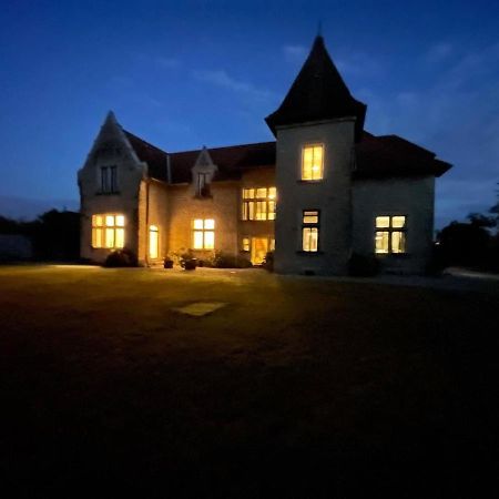 Chambres Au Chateau Du Mouillat Saint-Clair-de-la-Tour エクステリア 写真